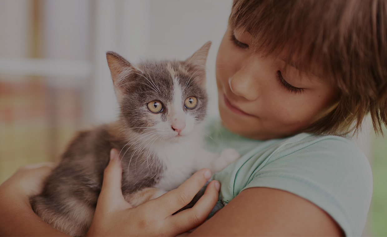 himera-veteriner-klinigi-kedi-hastaliklari-slider3