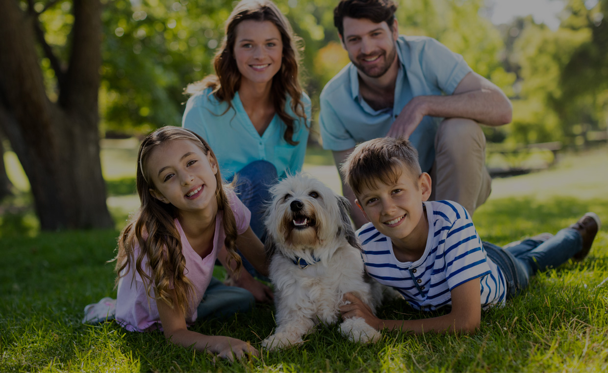 himera-veteriner-klinigi-kopek-hastaliklari-slider1