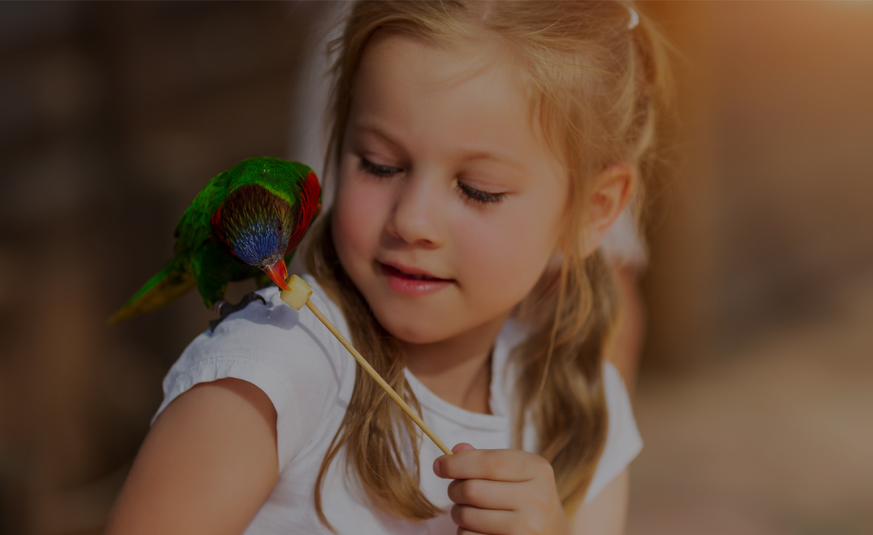 himera-veteriner-klinigi-kus-hastaliklari-slider2